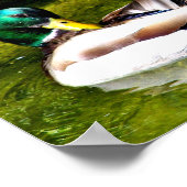 Gewoon Wondering_ Poster (Hoek)
