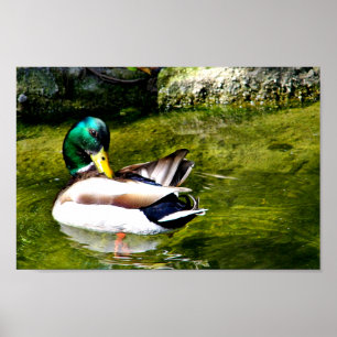 Gewoon Wondering_ Poster