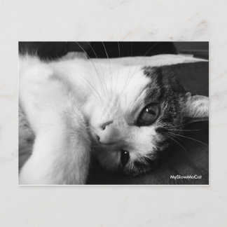 Gewoon zwart-wit Briefkaart