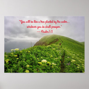 Geworteld in zegeningen poster