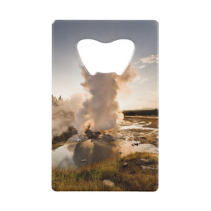 Geyser de rebord, bassin de geyser de Norris