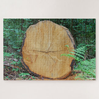 Gezaagde stam in een bos legpuzzel