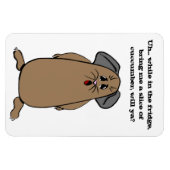 Gezegden van cavia's magneet (Horizontaal)