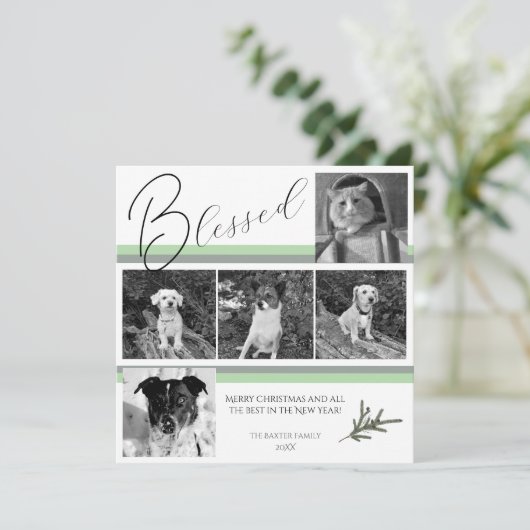 Gezegend Modern 5 Foto Groene Pine Branch Kerstmis Feestdagenkaart (Staand voorkant)