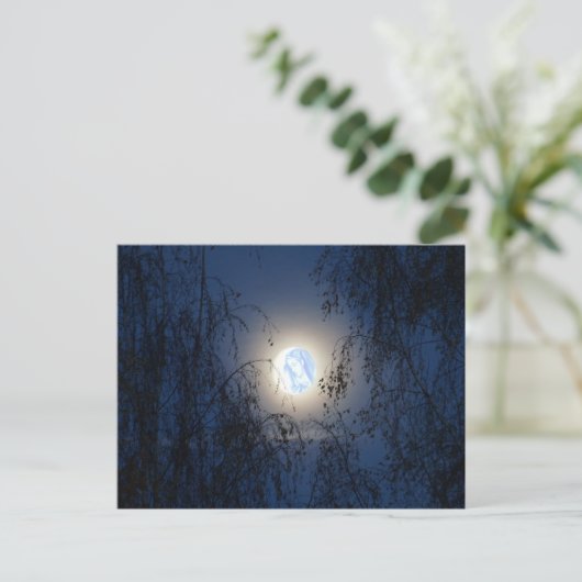 Gezegende Maagd Maria in het Moon Lite Forest Briefkaart (Staand voorkant)
