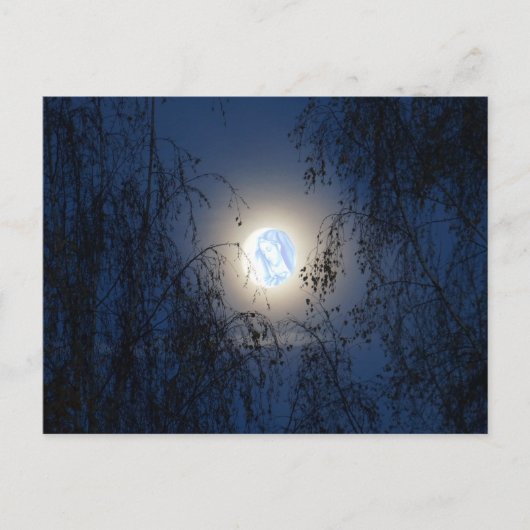 Gezegende Maagd Maria in het Moon Lite Forest Briefkaart (Voorkant)