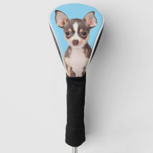 Gezelfoto van familiehond Babyblauw Golfheadcover