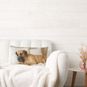 Gezellig Grote Deen Lumbar Kussen