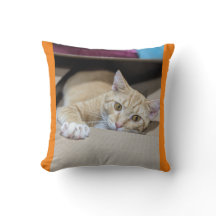 "Gezellig Sinaasappel Tabby Kattenkussen – Warm Fe