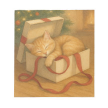 Gezellige Cat Nap Kerstmis