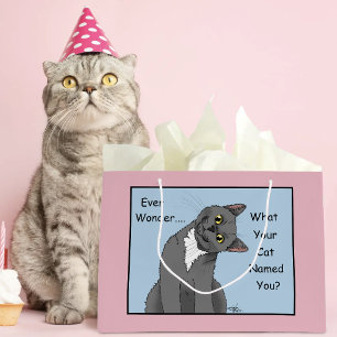 Gezellige Grijze Kattennaam Blauwe Kattenbezitter Groot Cadeauzakje