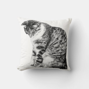 Gezellige hoeken met schaduwrijke kattengratie kussen