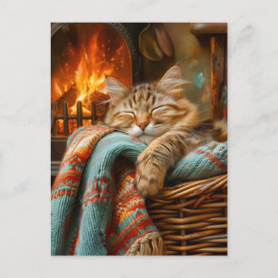 Gezellige kat die slaapt in mand bij warme open ha briefkaart