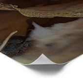 Gezellige Kittens Snuggle in een pompoen Poster (Hoek)