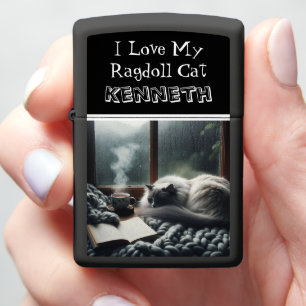 Gezellige Ragdoll Cat Rusten bij het raam