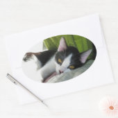 Gezellige Tuxedo Cat Sticker (Envelop)