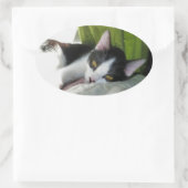 Gezellige Tuxedo Cat Sticker (Tas)