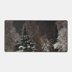 Gezellige Winter Bos Nacht Scene Bureaumat
