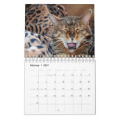 Gezelschapsdieren Kalender (Feb 2027)