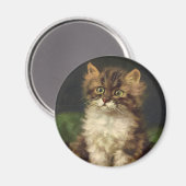 gezelschapsdieren, kutstripper, kat Kitten Magneet (Voorkant / Achterkant)