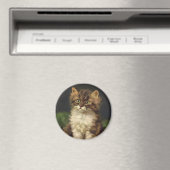 gezelschapsdieren, kutstripper, kat Kitten Magneet (Insitu (Vaatwasser))