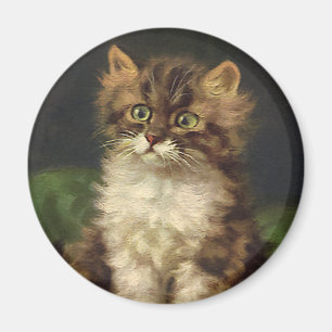  gezelschapsdieren, kutstripper, kat Kitten Magneet