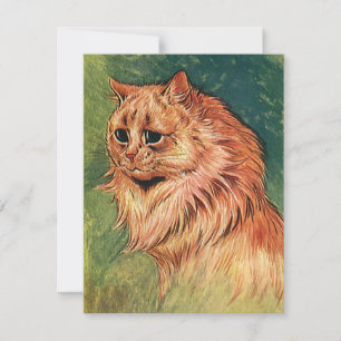  gezelschapsdieren, langgehakt Oranje katat