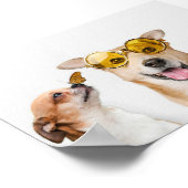 Gezelschapsdieren Poster (Hoek)