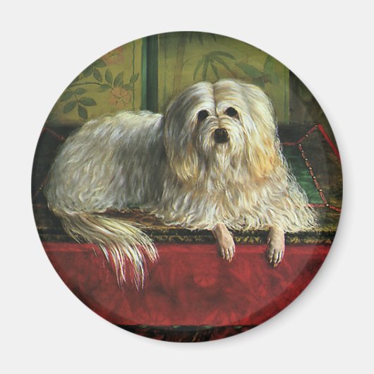 gezelschapsdieren, shaggy Sheepdog Dog Magneet (Voorkant)