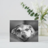 Gezicht naar gezicht briefkaart (Staand voorkant)