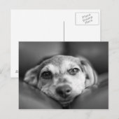 Gezicht naar gezicht briefkaart (Voorkant / Achterkant)