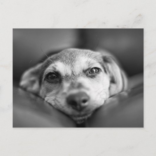 Gezicht naar gezicht briefkaart (Voorkant)