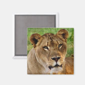 Gezicht op een koningin magneet (Voorkant / Achterkant)