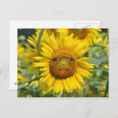 GEZICHT VAN DE ZON BRIEFKAART (Voorkant / Achterkant)