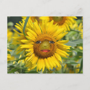 GEZICHT VAN DE ZON BRIEFKAART