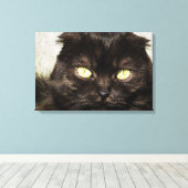 Gezicht van een jonge Munchkin kitten Canvas Afdruk (Insitu (Houten vloer))