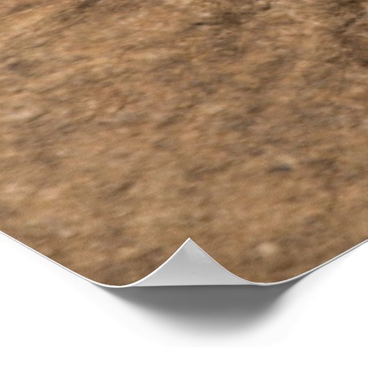 Gezicht van een olifant poster (Hoek)