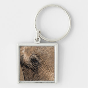 Gezicht van een olifant sleutelhanger