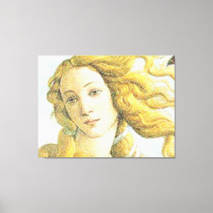Gezicht van Venus Canvas Afdruk