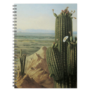 Gezicht vanaf Maricopa Mountain bij Rio Gila door Notitieboek
