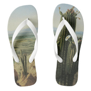 Gezicht vanaf Maricopa Mountain bij Rio Gila door  Teenslippers