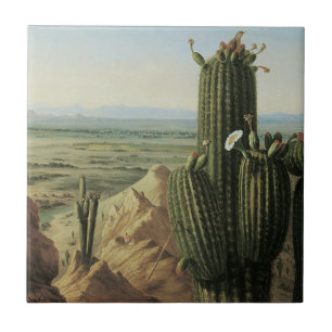 Gezicht vanaf Maricopa Mountain bij Rio Gila door  Tegeltje