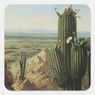 Gezicht vanaf Maricopa Mountain bij Rio Gila door Vierkante Sticker