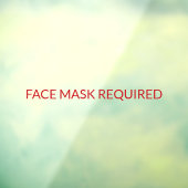 Gezichtsmasker Vereiste elegante aangepaste tekst Raamsticker (Vel 3)