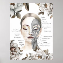 Gezichtsspieren Anatomie Kunst Massage Therapeut G