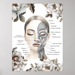 Gezichtsspieren Anatomie Kunst Massage Therapeut G Poster