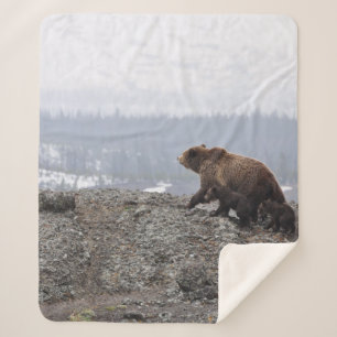 GEZIN VAN HET beer IN GEEL LOWSTON Sherpa Deken