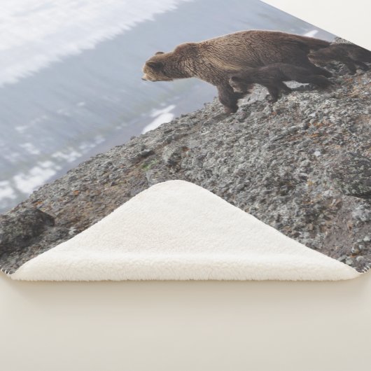 GEZIN VAN HET beer IN GEEL LOWSTON Sherpa Deken (3/4)