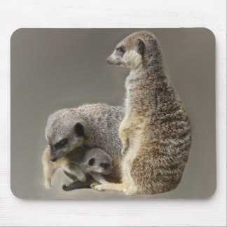 Gezinsgezinde stropdassen muismat