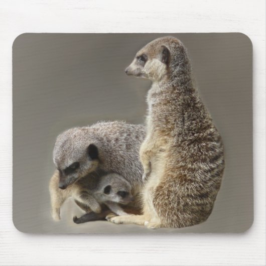 Gezinsgezinde stropdassen muismat (Voorkant)